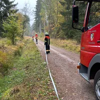 waldbrand3.jpeg